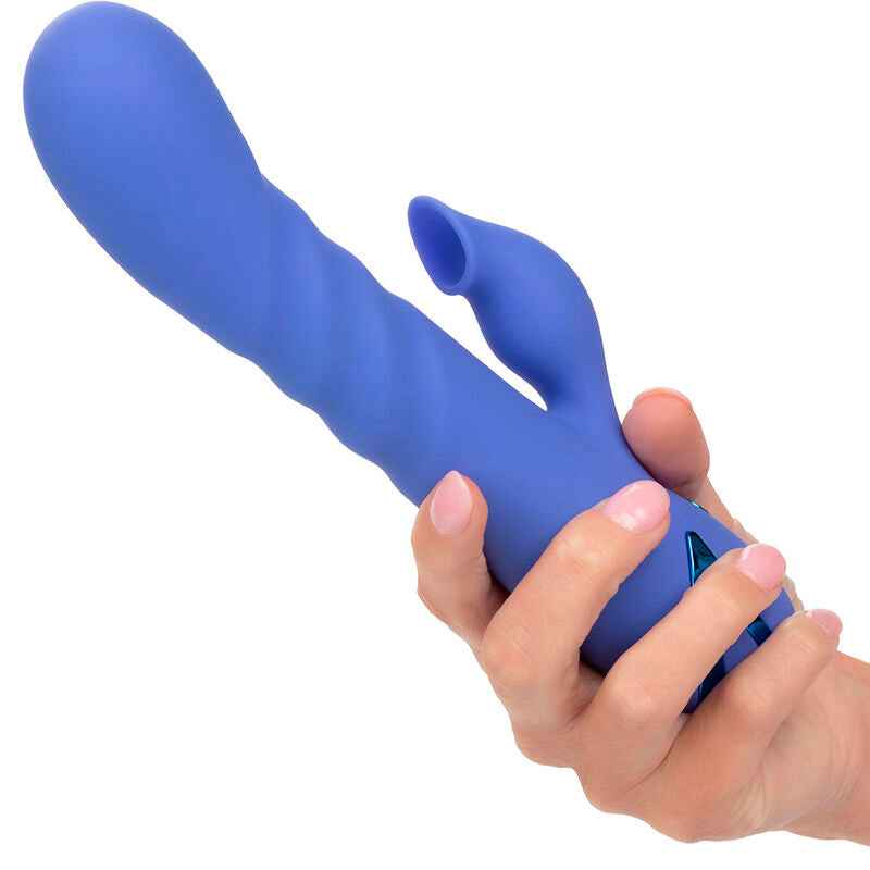 CALEXOTICS - LA LOVE VIBRADOR E SUCÇÃO AZUL DA CALIFORNIA DREAMING - VIBRA24 SEXSHOP