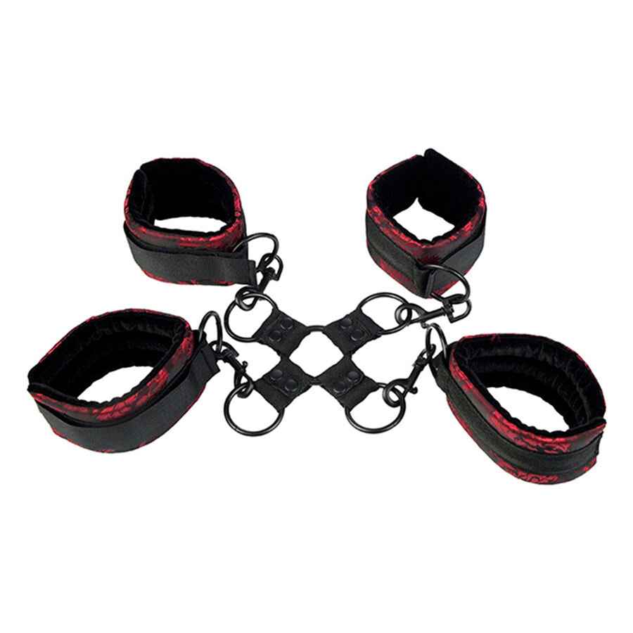 CALEXOTICS - SCANDAL ALGEMAS HOG TIE